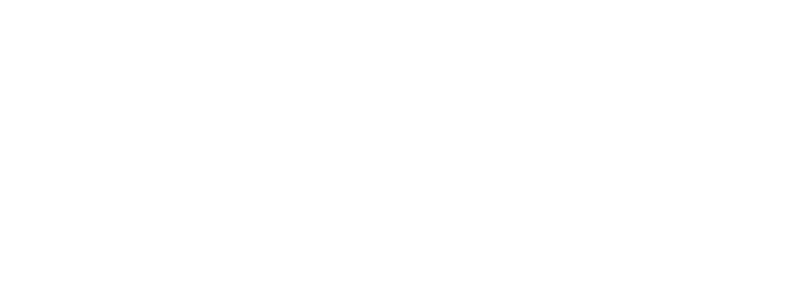CleanPro
